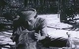 [ẢNH] Ngắm minh họa Thành Chương trong tuyển tập của cố nhà văn Kim Lân