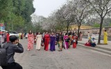 {Ảnh} Ngày 8/3: Áo dài chụp ảnh với hoa ban