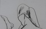 {ẢNH} 