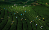 [ẢNH] Việt Nam nhìn từ... lưng chừng trời 