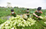 [Ảnh] Hình ảnh không quên về các chiến sĩ công an Thủ đô trong đại dịch