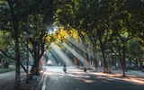 [Ảnh] Hình ảnh không quên về các chiến sĩ công an Thủ đô trong đại dịch