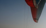 Vút bay cùng những cánh dù lượn, ngắm những cánh đồng lau trắng