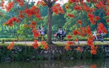 Vẻ đẹp thành phố nghìn năm tuổi qua các bức ảnh đoạt giải 