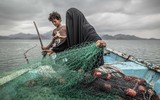 Những khoảnh khắc ám ảnh của Giải Ảnh Báo chí thế giới 2021
