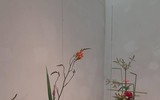 Độc đáo bộ sưu tập búp bê Hina được trang trí trên kệ 7 tầng của Nhật Bản 