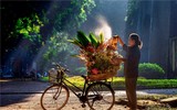 Các tác phẩm đẹp mắt của Liên hoan Ảnh nghệ thuật khu vực Hà Nội 2022