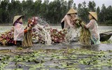 Bộ ảnh tuyệt đẹp về phụ nữ và cuộc sống