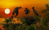 Đất nước Việt Nam tươi đẹp qua những bức ảnh của nghệ sĩ nhiếp ảnh Vũ Hải
