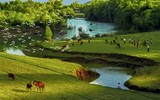 Đất nước Việt Nam tươi đẹp qua những bức ảnh của nghệ sĩ nhiếp ảnh Vũ Hải