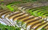 Đất nước Việt Nam tươi đẹp qua những bức ảnh của nghệ sĩ nhiếp ảnh Vũ Hải