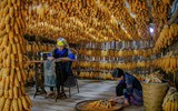 Đất nước Việt Nam tươi đẹp qua những bức ảnh của nghệ sĩ nhiếp ảnh Vũ Hải