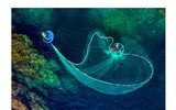 Cảnh sắc thiên nhiên Việt Nam trên mọi nẻo đường Tổ quốc