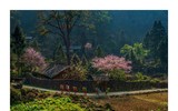 Cảnh sắc thiên nhiên Việt Nam trên mọi nẻo đường Tổ quốc