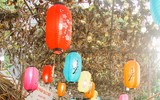 Người dân Hà Nội đổ về Văn Miếu xin chữ đầu năm