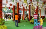 Người dân Hà Nội đổ về Văn Miếu xin chữ đầu năm