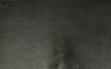 Tranh nude nửa như hiện ra, nửa như biến mất