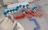 Những mảnh ghép đầy cảm xúc trong bức tranh chống Covid-19 tại tâm dịch Hải Dương và Quảng Ninh