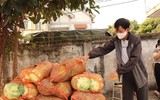 Những mảnh ghép đầy cảm xúc trong bức tranh chống Covid-19 tại tâm dịch Hải Dương và Quảng Ninh