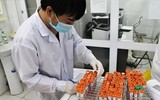 Giữa tâm dịch Covid-19 ở Hải Dương: Thăm 