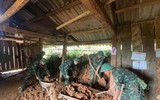 Bộ Chỉ huy Quân sự Điện Biên xuyên đêm tìm kiếm cứu nạn, hỗ trợ nhân dân vùng mưa lũ
