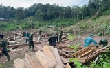 Bộ Chỉ huy Quân sự Điện Biên xuyên đêm tìm kiếm cứu nạn, hỗ trợ nhân dân vùng mưa lũ