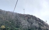 Cán bộ ngành điện 