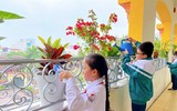 [Ảnh] Cùng xem học sinh tạo lập hệ thống tưới cây tự động trong 9 ngày nghỉ Tết Tân Sửu