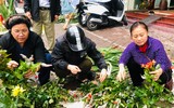 [Ảnh] 29 Tết nắng đẹp, chợ chật như nêm