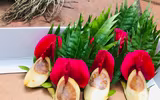 [Ảnh] 29 Tết nắng đẹp, chợ chật như nêm