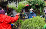 [Ảnh] 29 Tết nắng đẹp, chợ chật như nêm