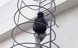 Toàn cảnh vụ trèo lên nóc các tòa chung cư cắt trộm dây đồng chống sét