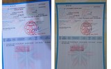 Cận cảnh vụ nữ quái giả danh công an chiếm đoạt 20 tỷ đồng của hàng chục bị hại