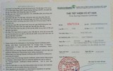 Cận cảnh vụ nữ quái giả danh công an chiếm đoạt 20 tỷ đồng của hàng chục bị hại