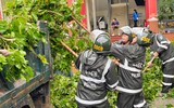 Trung đoàn Cảnh sát cơ động Trung bộ khẩn trương giúp dân khắc phục hậu quả cơn bão Noru