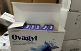Cận cảnh hàng trăm loại thực phẩm chức năng giả vừa bị phát hiện
