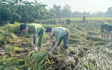 Công an xã Ô Diên giúp dân gặt lúa