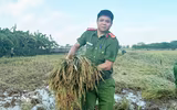 Công an xã Ô Diên giúp dân gặt lúa