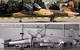 [ẢNH] Iran bất ngờ sao chép thành công ‘quái điểu’ MQ-9 Mỹ?