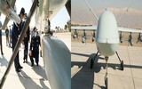 [ẢNH] Iran bất ngờ sao chép thành công ‘quái điểu’ MQ-9 Mỹ?