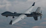 [ẢNH] Ấn Độ mua UAV sát thủ của Mỹ để đối phó Trung Quốc, Pakistan