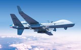 [ẢNH] Ấn Độ mua UAV sát thủ của Mỹ để đối phó Trung Quốc, Pakistan