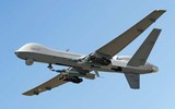 [ẢNH] Ấn Độ mua UAV sát thủ của Mỹ để đối phó Trung Quốc, Pakistan