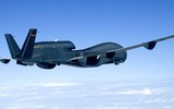 [ẢNH] Tại sao Đức phải loại bỏ siêu UAV trị giá 800 triệu USD dù còn mới cứng