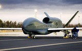 [ẢNH] Tại sao Đức phải loại bỏ siêu UAV trị giá 800 triệu USD dù còn mới cứng
