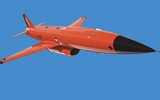 [ẢNH] UAV 700.000 USD của không quân Mỹ trôi dạt trên bãi biển