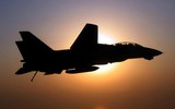 [ẢNH] F-14 Tomcat, chiến đấu cơ huyền thoại của Hải quân Mỹ