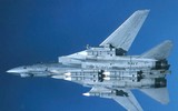[ẢNH] F-14 Tomcat, chiến đấu cơ huyền thoại của Hải quân Mỹ