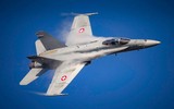 [ẢNH] F-5E Tiger II Thụy Sĩ đâm vào núi khi tập không chiến