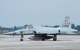 [ẢNH] F-5E Tiger II Thụy Sĩ đâm vào núi khi tập không chiến
